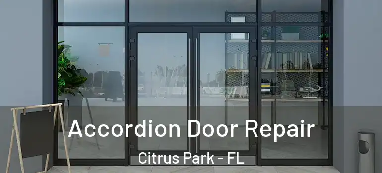  Accordion Door Repair Citrus Park - FL