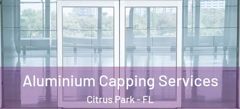  Aluminium Capping Services Citrus Park - FL