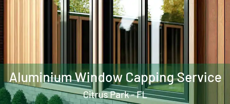  Aluminium Window Capping Service Citrus Park - FL