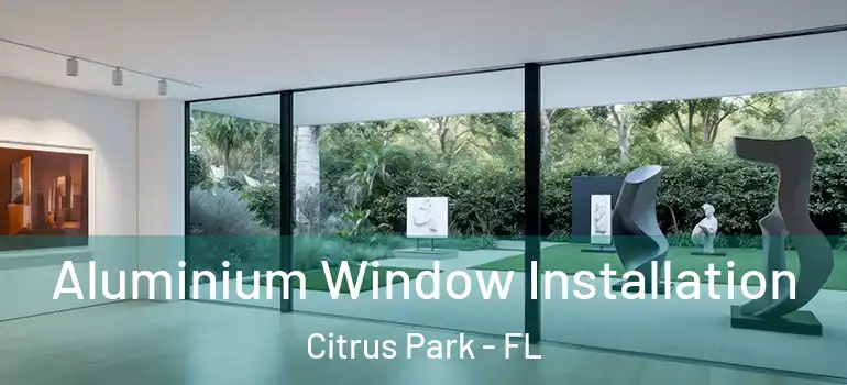  Aluminium Window Installation Citrus Park - FL