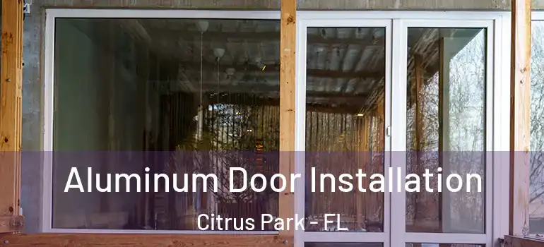  Aluminum Door Installation Citrus Park - FL