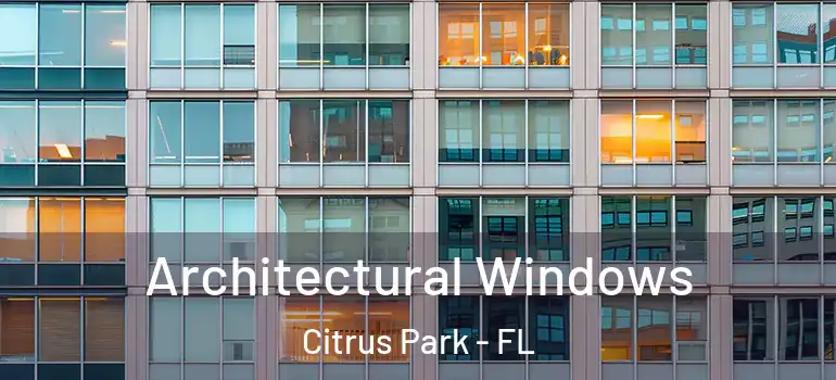  Architectural Windows Citrus Park - FL