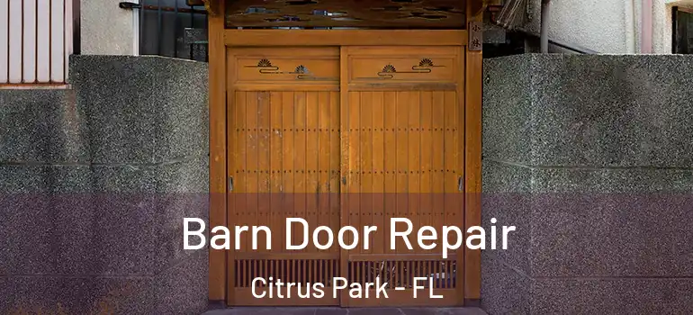  Barn Door Repair Citrus Park - FL