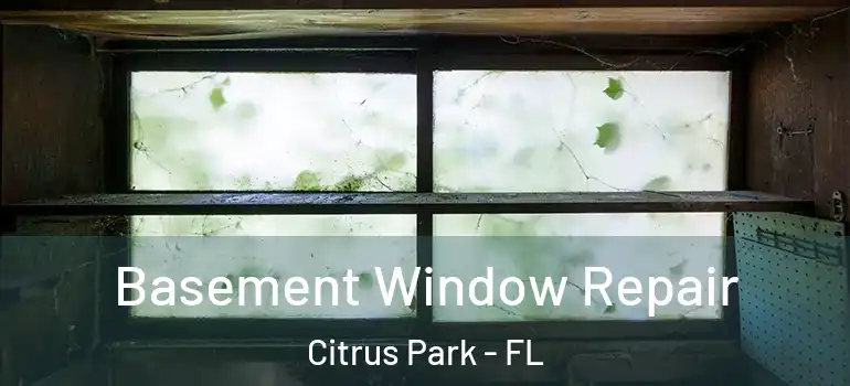  Basement Window Repair Citrus Park - FL