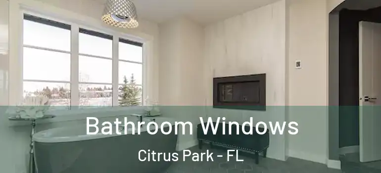  Bathroom Windows Citrus Park - FL