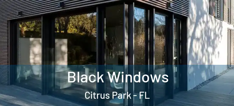  Black Windows Citrus Park - FL