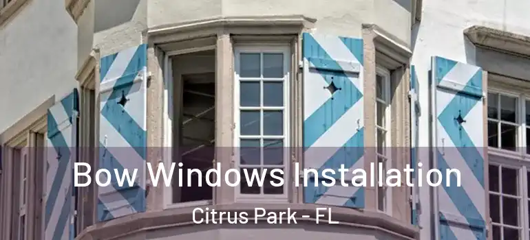  Bow Windows Installation Citrus Park - FL