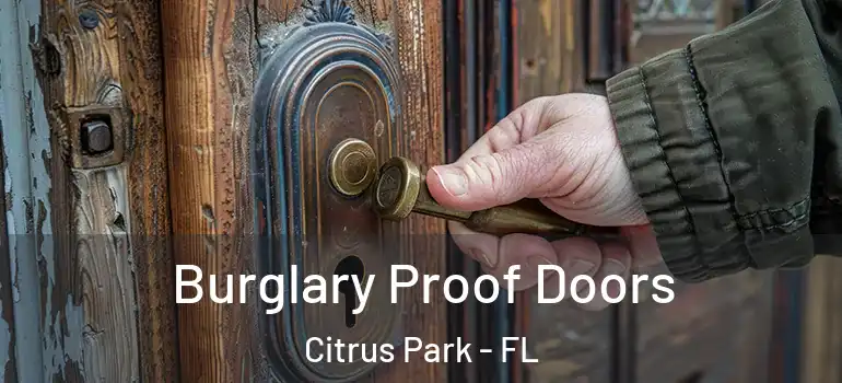  Burglary Proof Doors Citrus Park - FL