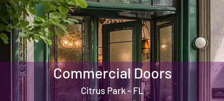  Commercial Doors Citrus Park - FL