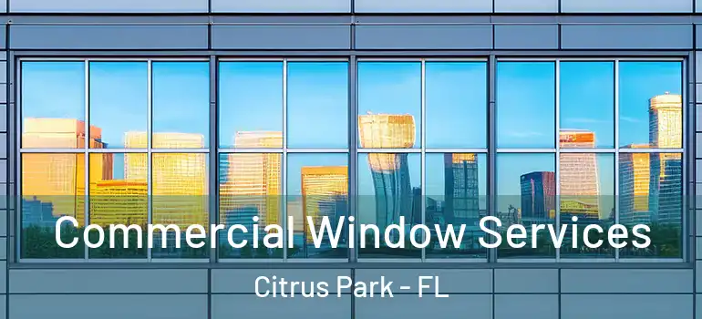  Commercial Window Services Citrus Park - FL