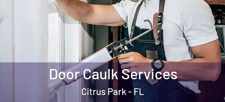  Door Caulk Services Citrus Park - FL