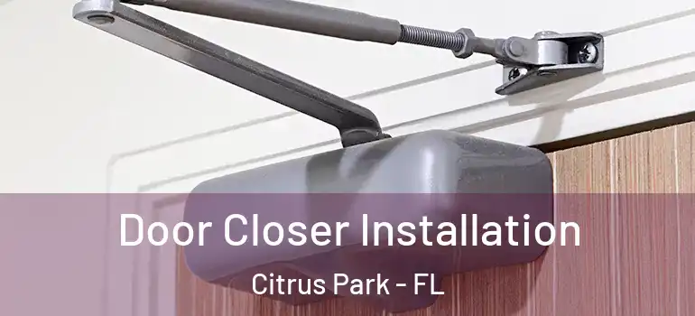  Door Closer Installation Citrus Park - FL