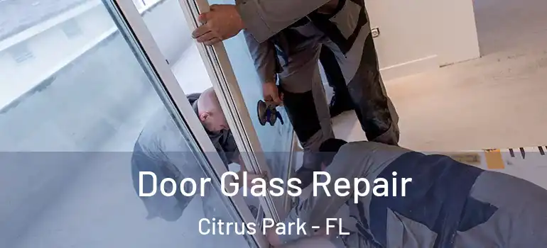  Door Glass Repair Citrus Park - FL
