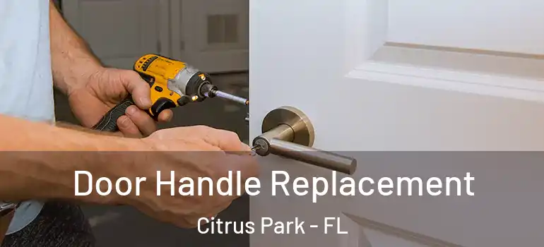  Door Handle Replacement Citrus Park - FL