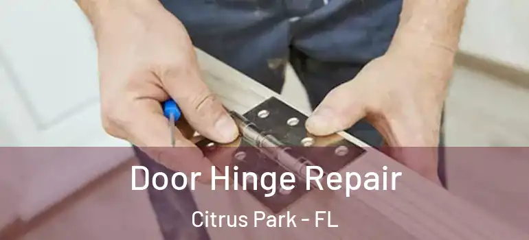  Door Hinge Repair Citrus Park - FL