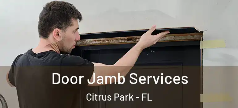  Door Jamb Services Citrus Park - FL