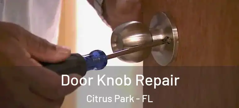  Door Knob Repair Citrus Park - FL