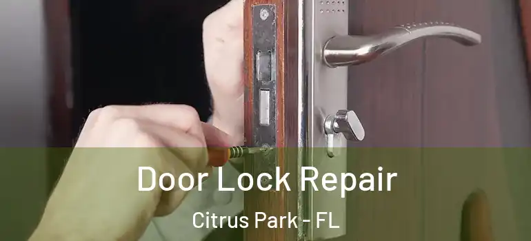  Door Lock Repair Citrus Park - FL