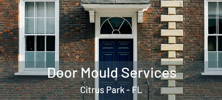  Door Mould Services Citrus Park - FL