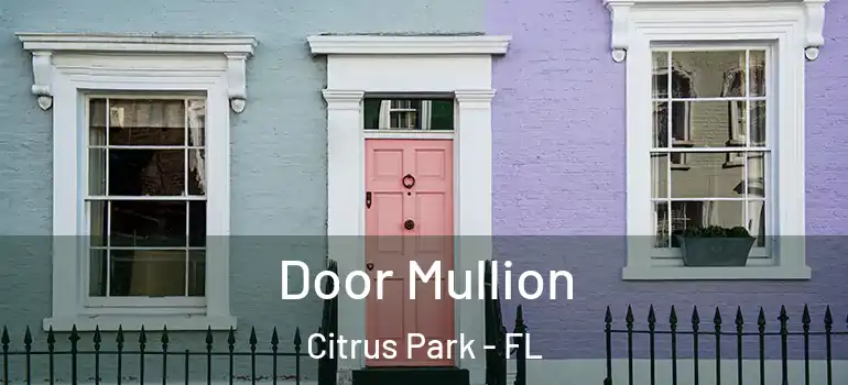  Door Mullion Citrus Park - FL