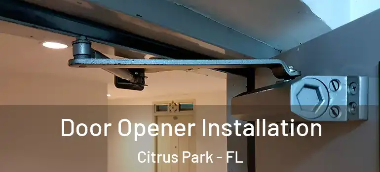  Door Opener Installation Citrus Park - FL