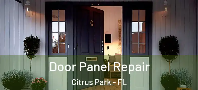  Door Panel Repair Citrus Park - FL