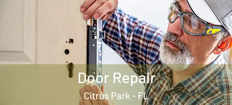  Door Repair Citrus Park - FL