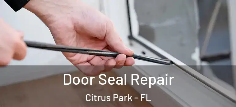  Door Seal Repair Citrus Park - FL
