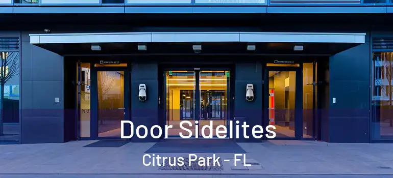  Door Sidelites Citrus Park - FL