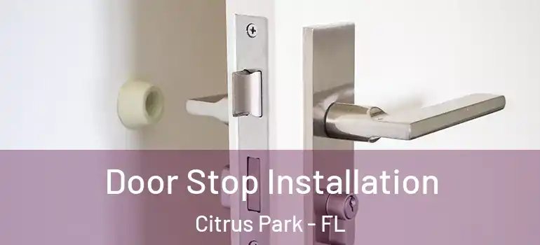  Door Stop Installation Citrus Park - FL