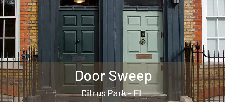  Door Sweep Citrus Park - FL