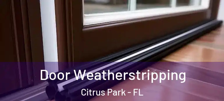  Door Weatherstripping Citrus Park - FL