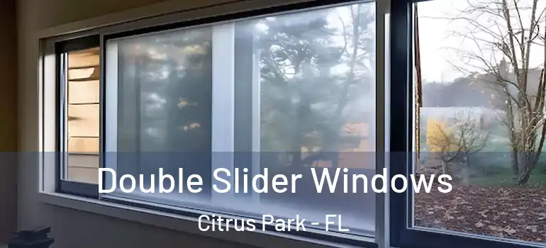 Double Slider Windows Citrus Park - FL