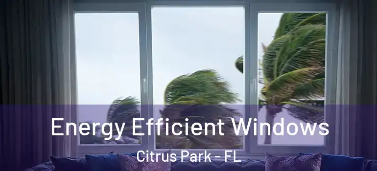  Energy Efficient Windows Citrus Park - FL