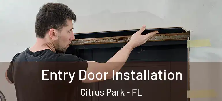  Entry Door Installation Citrus Park - FL