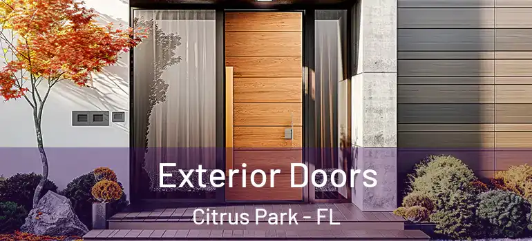  Exterior Doors Citrus Park - FL
