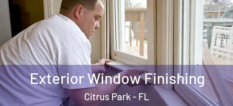  Exterior Window Finishing Citrus Park - FL