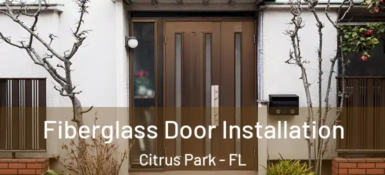  Fiberglass Door Installation Citrus Park - FL