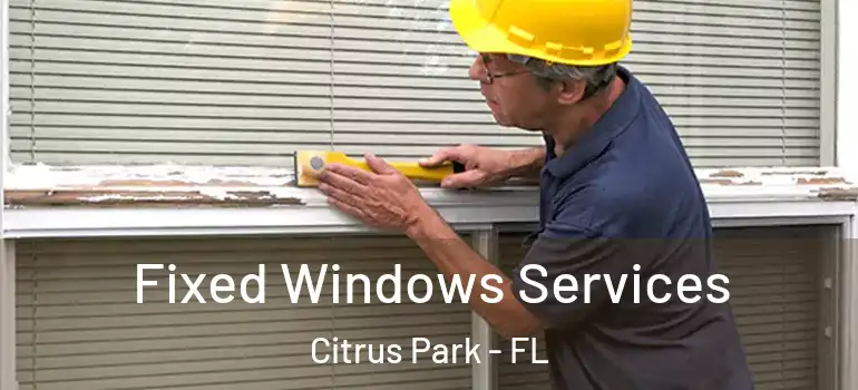 Fixed Windows Services Citrus Park - FL