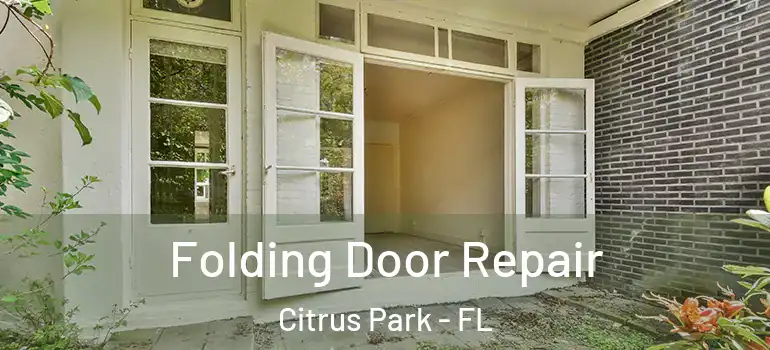  Folding Door Repair Citrus Park - FL