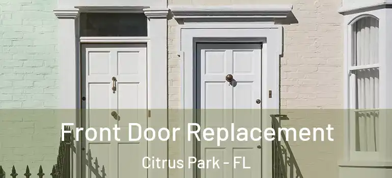  Front Door Replacement Citrus Park - FL