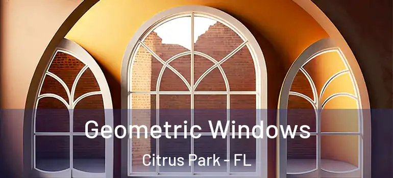 Geometric Windows Citrus Park - FL