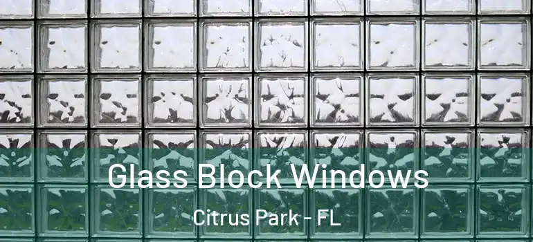  Glass Block Windows Citrus Park - FL
