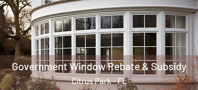  Government Window Rebate & Subsidy Citrus Park - FL