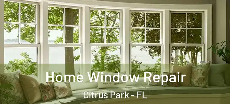 Home Window Repair Citrus Park - FL