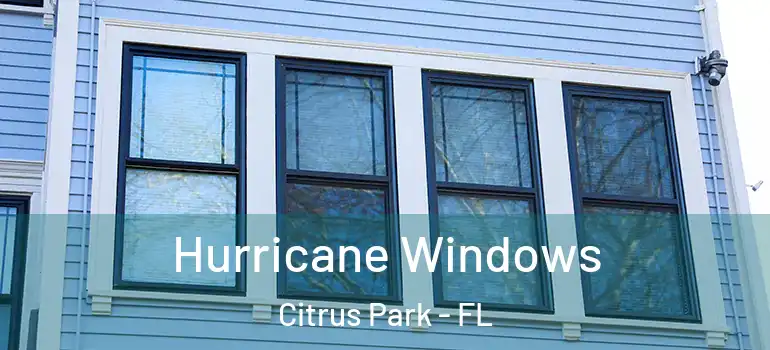  Hurricane Windows Citrus Park - FL