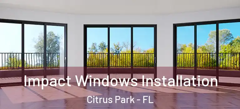  Impact Windows Installation Citrus Park - FL