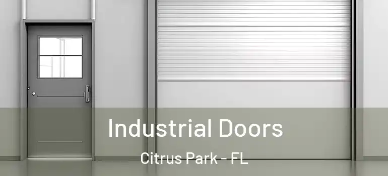  Industrial Doors Citrus Park - FL