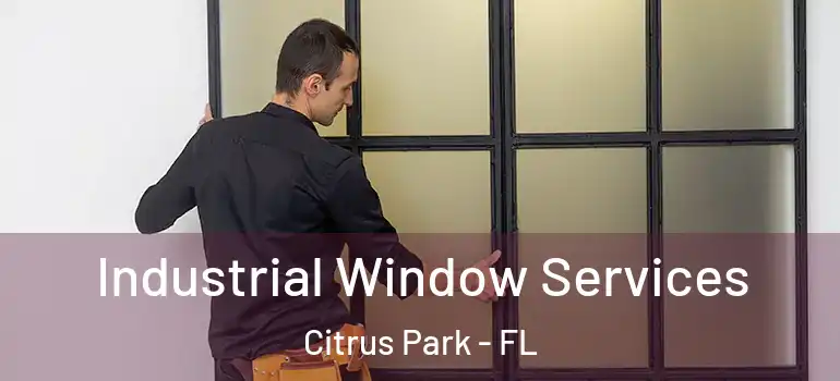  Industrial Window Services Citrus Park - FL