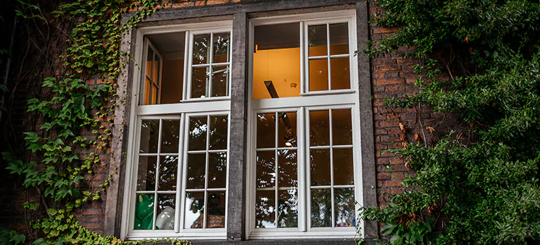 Energy Efficient Wood Windows in Citrus Park, FL